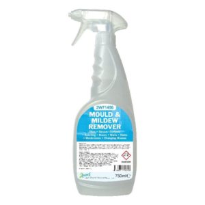 2WORK MOULD AND MILDEW CLEANER 750ML