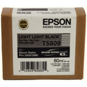 EPSON 3800 IJET CART LT LT BLK C13T5809