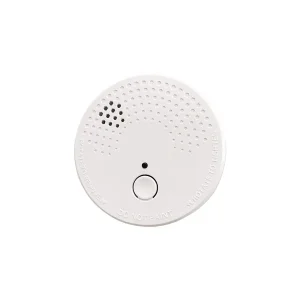 DOMESTIC SMOKE ALARM IONISATION ESA1
