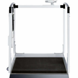 Seca 685 Multifuctional Wheelchair scale with Handrails and Seat